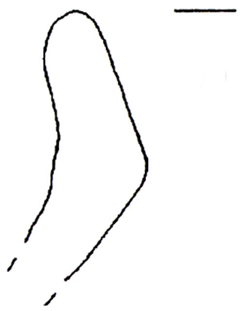 olla/ frammento