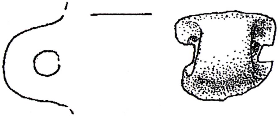 recipiente/ ansa