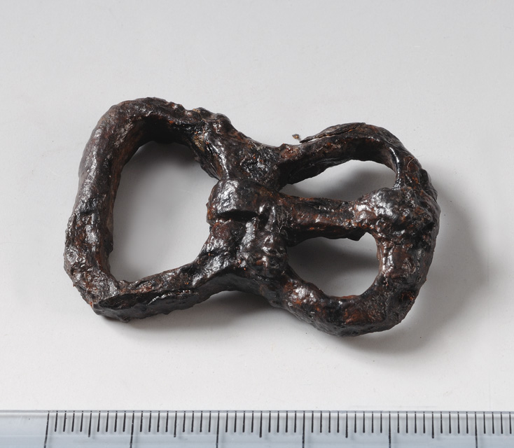 fibbia