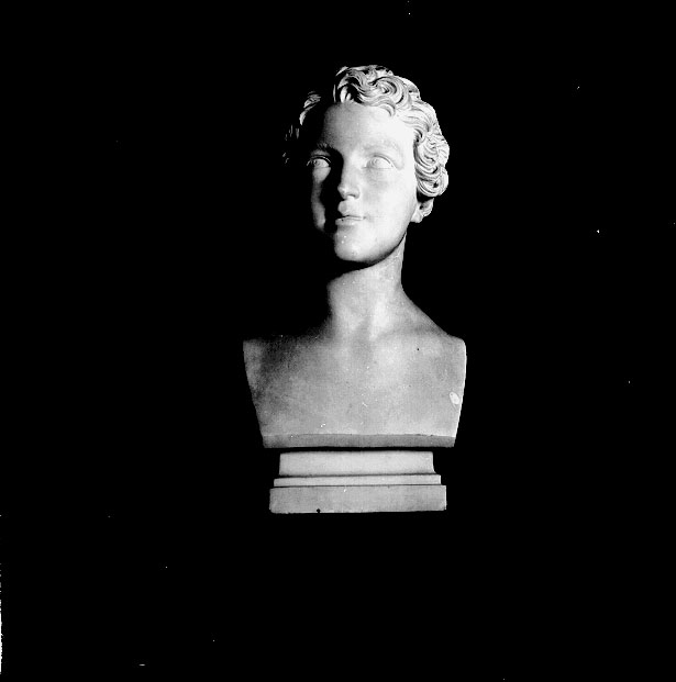 busto