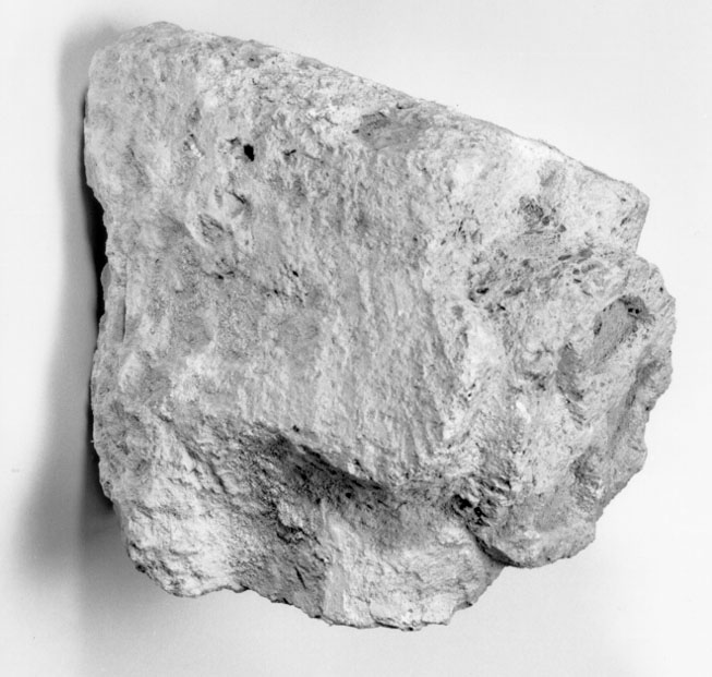 Beni numismatici