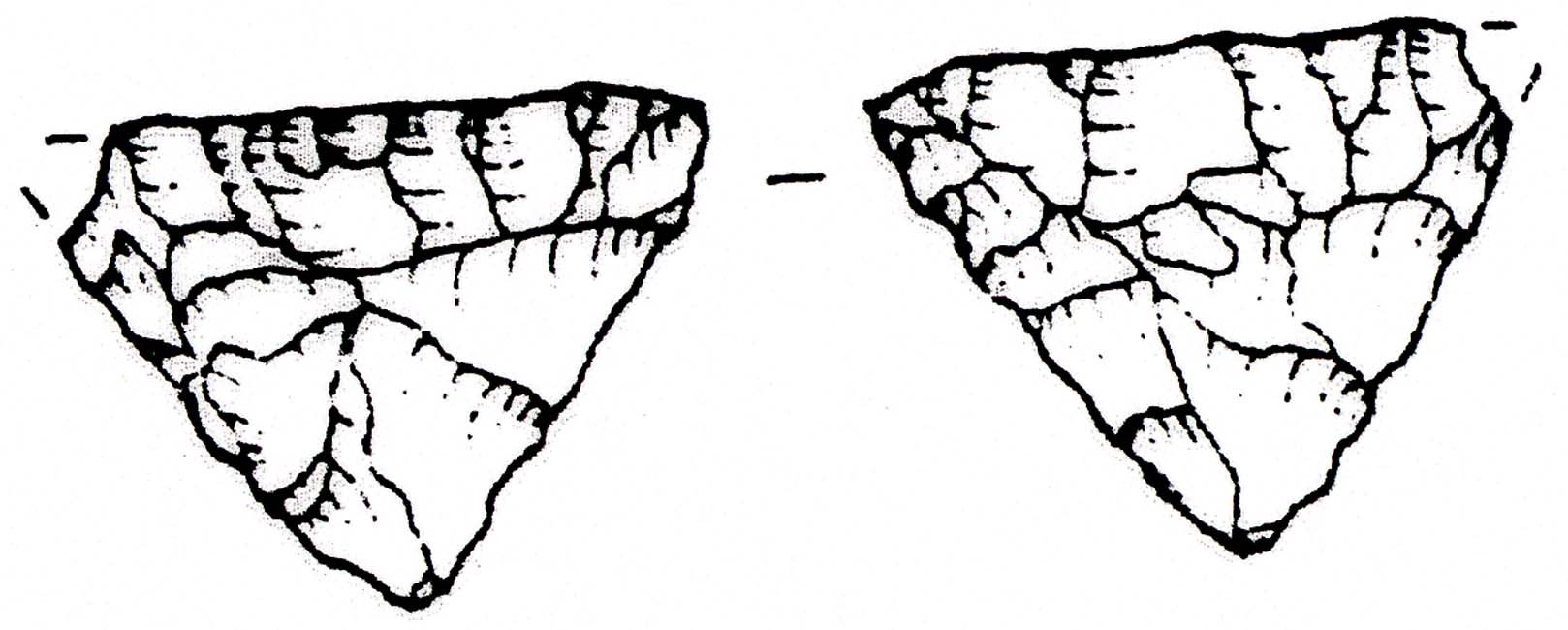 punta/ di freccia, foliata