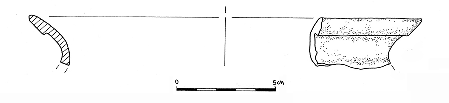 Il complesso fortificato della Motta di Savorgnano