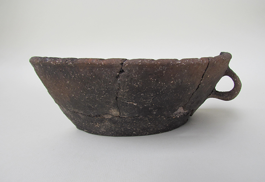 Il complesso fortificato della Motta di Savorgnano