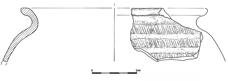 Il complesso fortificato della Motta di Savorgnano