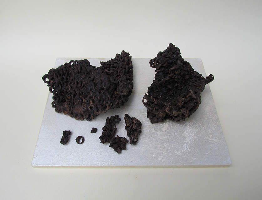 Il complesso fortificato della Motta di Savorgnano