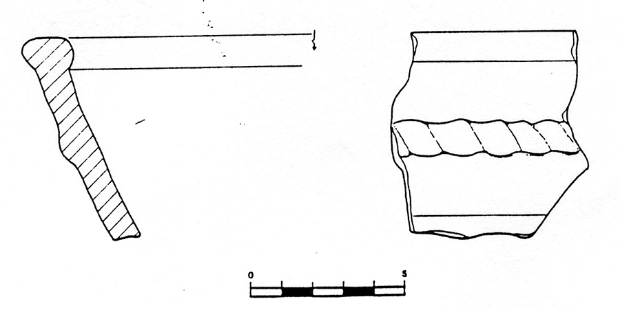 Il complesso fortificato della Motta di Savorgnano