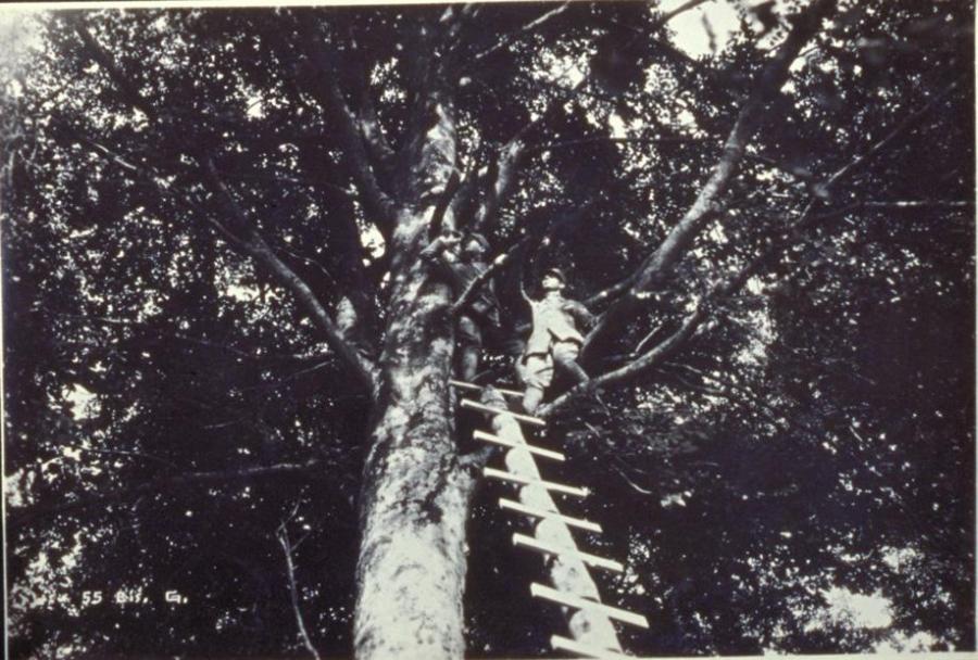 Archivio Fotografico Soprintendenza - Ufficio di Udine