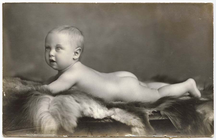 Ritratto di di Carlo Comessatti