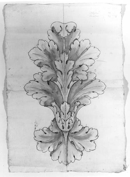 I disegni dei Fratelli Picottini