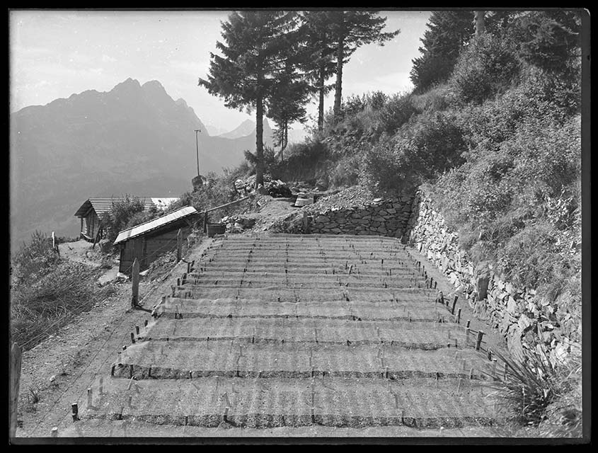 Prima durante e dopo