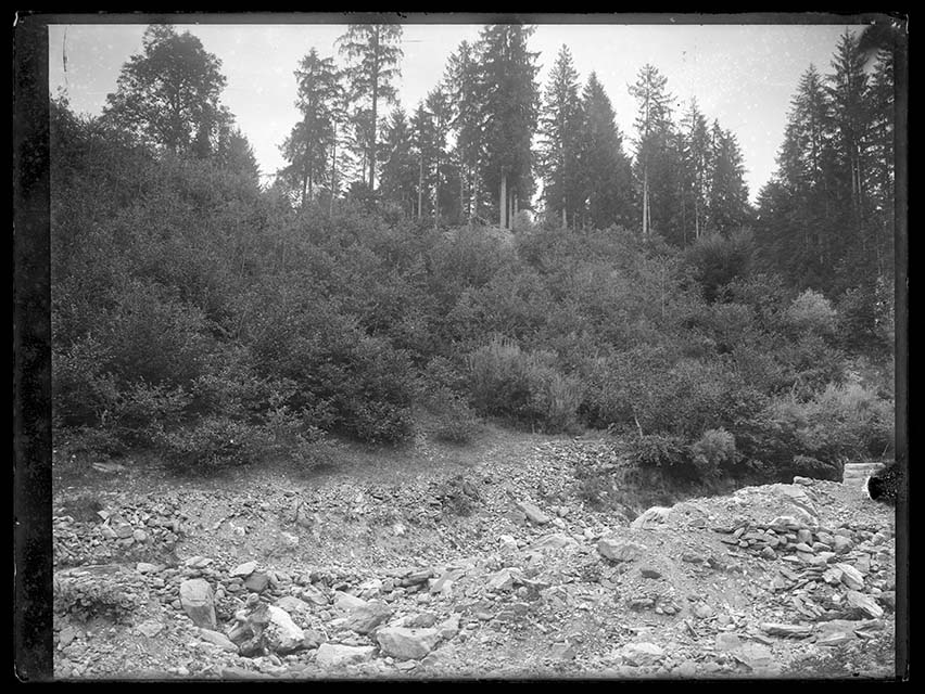 Prima durante e dopo