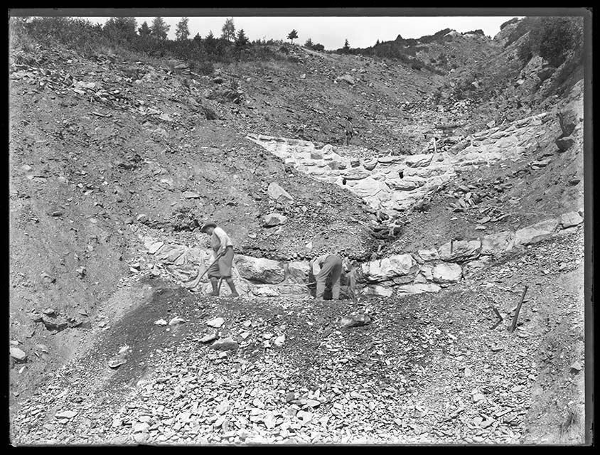 Prima durante e dopo