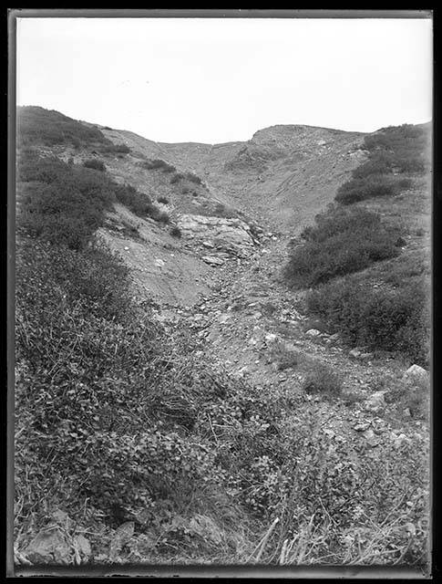 Prima durante e dopo