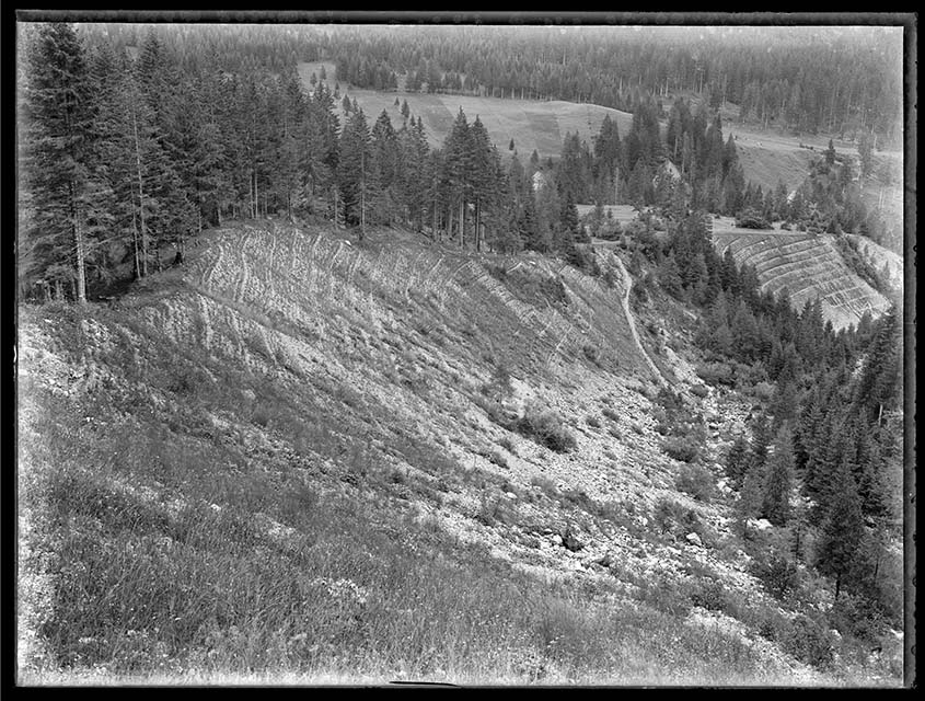 Prima durante e dopo