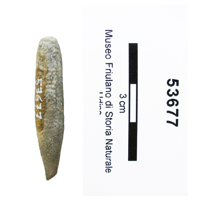 Collezione Rosenfeld