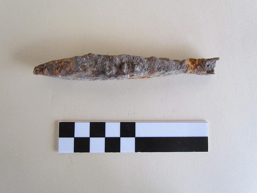 Il complesso fortificato della Motta di Savorgnano