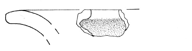 olla/ orlo