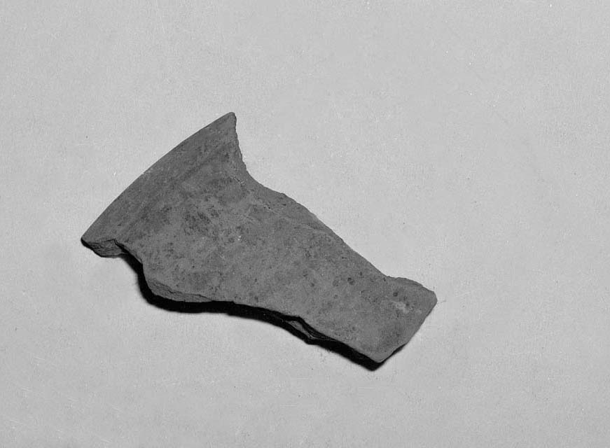 coperchio/ frammento